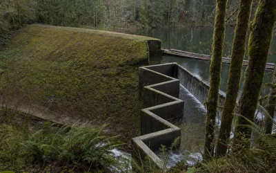 A mossy earth dam with a zig-zag concrete labyrinth weir beside it, water spilling over into a forested creek (AI-generated image)