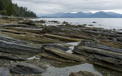 Tilted, cracked slabs of layered sandstone bedrock on a beach with tide pools, the strait and distant mountains behind (AI-generated image)