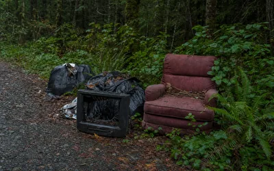 An old armchair, a broken television and black garbage bags dumped among ferns beside a gravel forest road (AI-generated image)