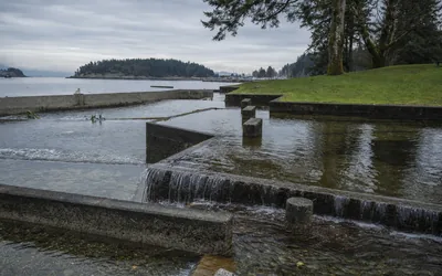 A tidal lagoon with concrete step pools and a weir beside a lawn and trees, a harbour and island beyond (AI-generated image)