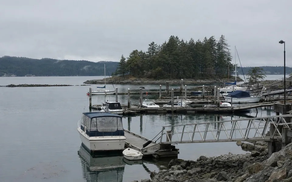 A small-boat marina on a calm grey harbour, moored boats and a gangway, a forested island across the water (AI-generated image)