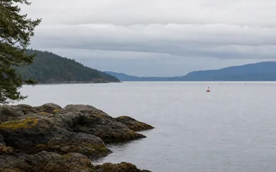 Calm open water of the Strait of Georgia seen from a rocky shore, small buoys far out, low forested headlands under grey sky (AI-generated image)